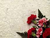Flower1-1.jpg